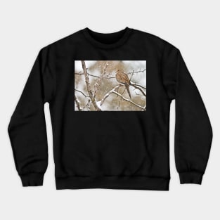 Mourning Dove Crewneck Sweatshirt